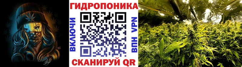 OMG   даркнет сайт  Чадан  МАРИХУАНА ГИДРОПОН 
